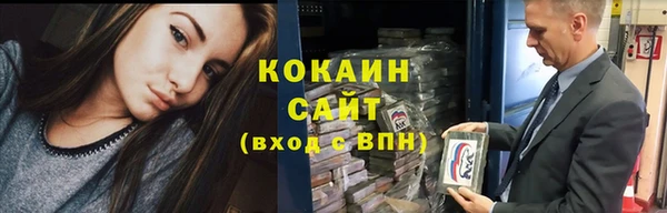 прущие грибы Лихославль