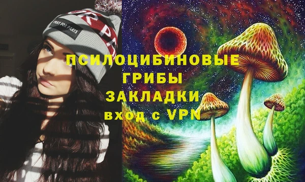 прущие грибы Лихославль