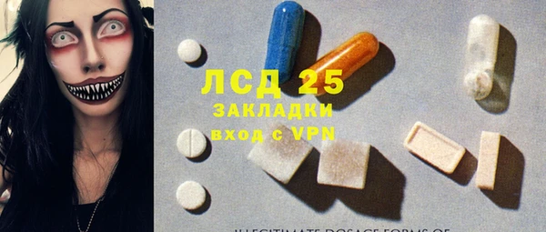 прущие грибы Лихославль