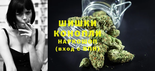 прущие грибы Лихославль
